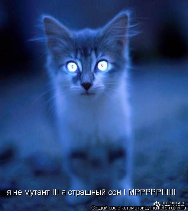 я не мутант !!! я страшный сон ! МРРРРР!!!!!!... Котоматрица: я не мутант !!! я страшный сон ! МРРРРР!!!!!!