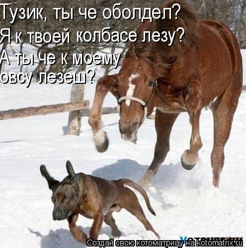 Тузик, ты че оболдел? Я к твоей А ты че к моему колбасе лезу? овсу лезеш?... Котоматрица: Тузик, ты че оболдел? Я к твоей А ты че к моему колбасе лезу? овсу лезеш?