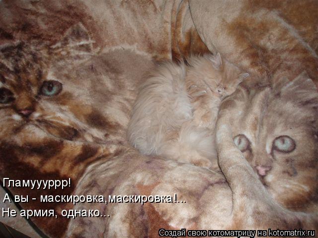 Гламуууррр! А вы - маскировка,маскировка!... Не армия, однако...... Котоматрица: Гламуууррр! А вы - маскировка,маскировка!... Не армия, однако...