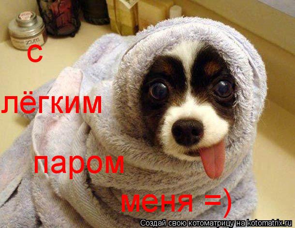 с лёгким паром меня =)... Котоматрица: с лёгким паром меня =)