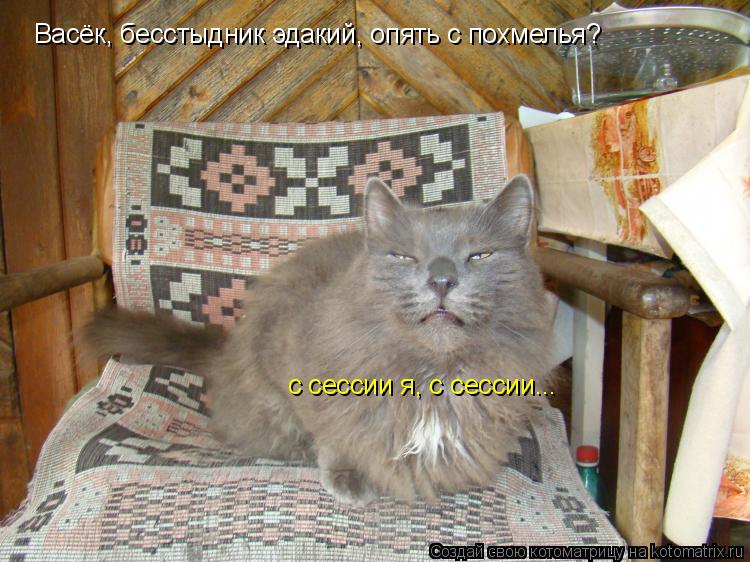 Васёк, бесстыдник эдакий, опять с похмелья? с сессии я, с сессии...... Котоматрица: Васёк, бесстыдник эдакий, опять с похмелья? с сессии я, с сессии...