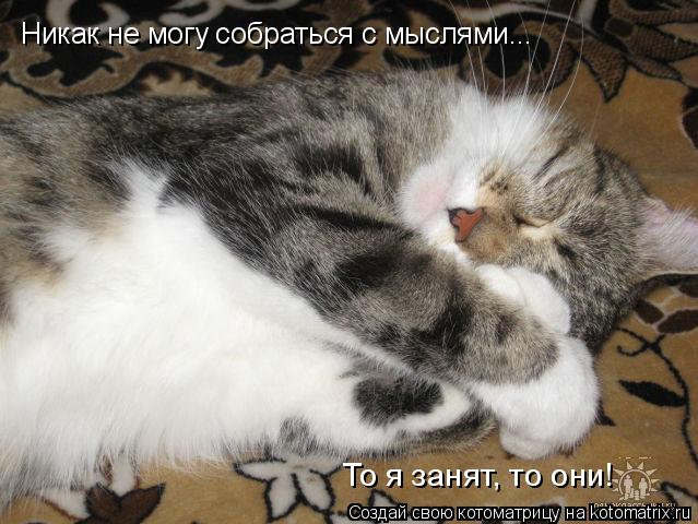 Никак не могу собраться с мыслями... То я занят, то они!... Котоматрица: Никак не могу собраться с мыслями... То я занят, то они!