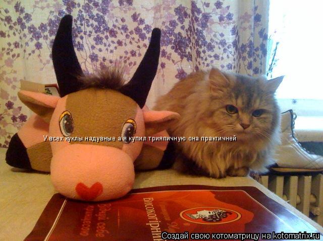 У всех куклы надувные а я купил трияпичную она практичней... Котоматрица: У всех куклы надувные а я купил трияпичную она практичней