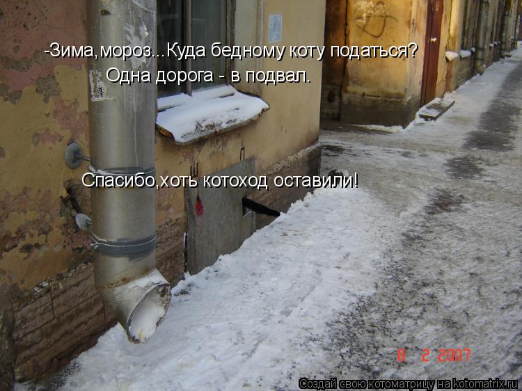 -Зима,мороз...Куда бедному коту податься? Одна дорога - в подвал. Спасибо,хоть котоход оставили!... Котоматрица: -Зима,мороз...Куда бедному коту податься? Одна дорога - в подвал. Спасибо,хоть котоход оставили!