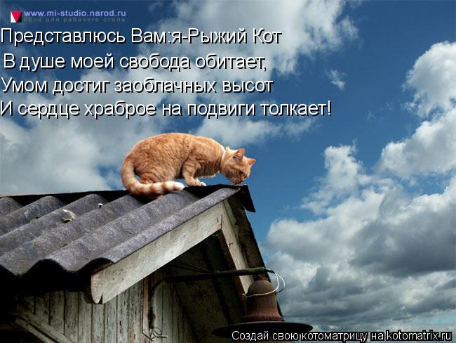 В душе моей свобода обитает, Умом достиг заоблачных высот И сердце храброе на подвиги толкает! Предст... Котоматрица: В душе моей свобода обитает, Умом достиг заоблачных высот И сердце храброе на подвиги толкает! Представлюсь Вам:я-Рыжий Кот