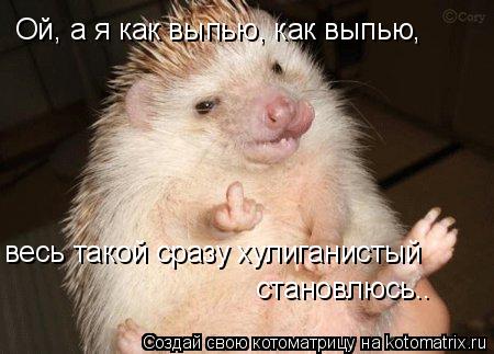 Ой, а я как выпью, как выпью, весь такой сразу хулиганистый становлюсь..... Котоматрица: Ой, а я как выпью, как выпью, весь такой сразу хулиганистый становлюсь..