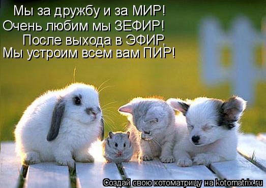 Мы за дружбу и за МИР! Очень любим мы ЗЕФИР! После выхода в ЭФИР, Мы устроим всем вам ПИР!... Котоматрица: Мы за дружбу и за МИР! Очень любим мы ЗЕФИР! После выхода в ЭФИР, Мы устроим всем вам ПИР!