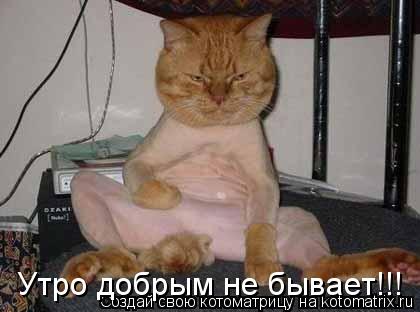 Утро добрым не бывает!!!... Котоматрица: Утро добрым не бывает!!!