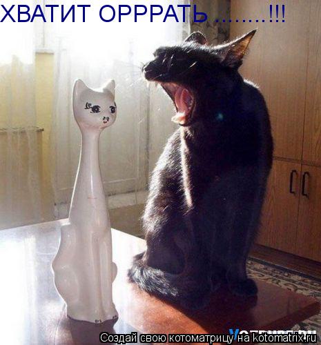 ХВАТИТ ОРРРАТЬ ........!!!... Котоматрица: ХВАТИТ ОРРРАТЬ ........!!!