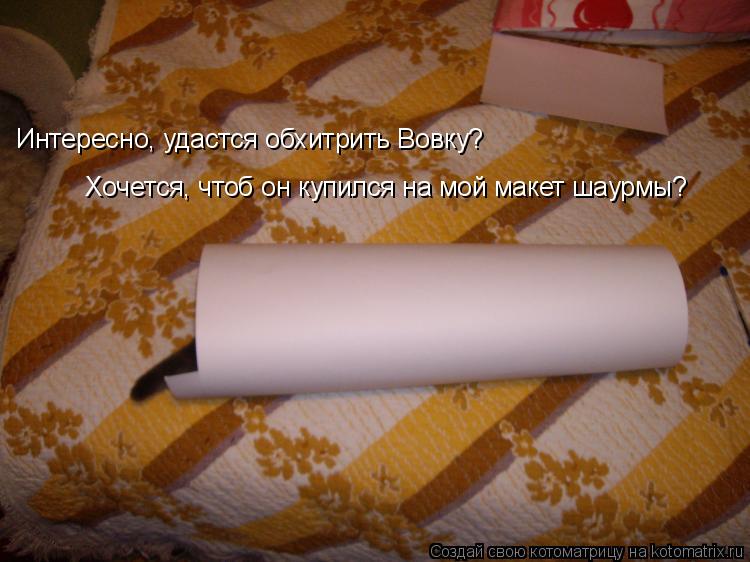 Интересно, удастся обхитрить Вовку? Хочется, чтоб он купился на мой макет шаурмы?... Котоматрица: Интересно, удастся обхитрить Вовку? Хочется, чтоб он купился на мой макет шаурмы?