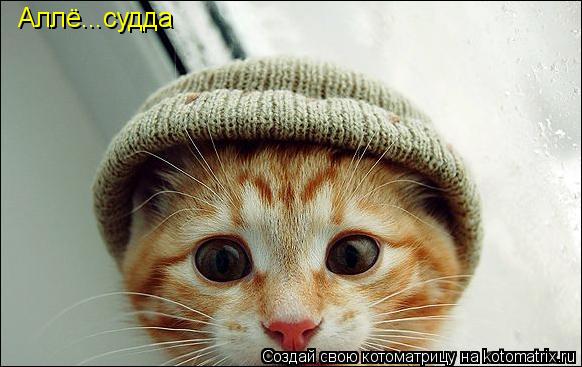 Аллё...судда... Котоматрица: Аллё...судда