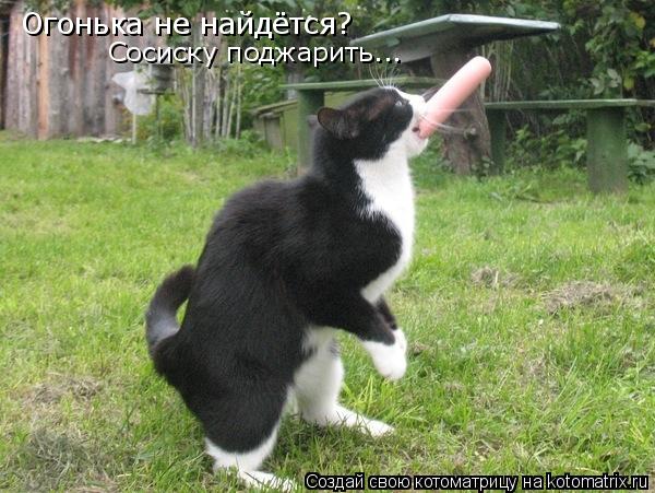 Огонька не найдётся? Сосиску поджарить...... Котоматрица: Огонька не найдётся? Сосиску поджарить...