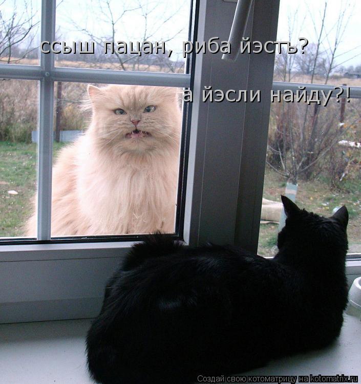 ссыш пацан, риба йэстъ? а йэсли найду?!... Котоматрица: ссыш пацан, риба йэстъ? а йэсли найду?!