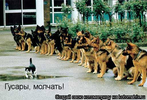 Гусары, молчать!... Котоматрица: Гусары, молчать!
