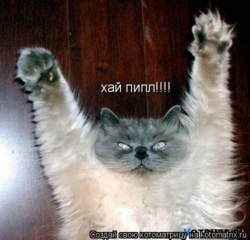 хай пипл!!!!... Котоматрица: хай пипл!!!!