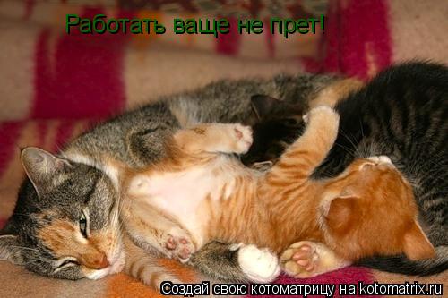 Работать ваще не прет!... Котоматрица: Работать ваще не прет!