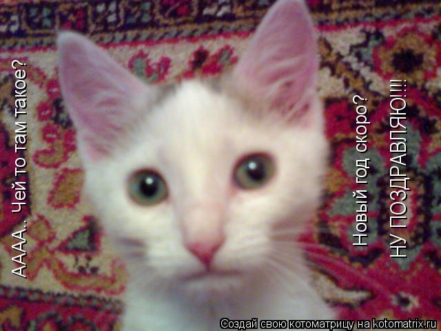 НУ ПОЗДРАВЛЯЮ!!!! АААА.. Чей то там такое? Новый год скоро?... Котоматрица: НУ ПОЗДРАВЛЯЮ!!!! АААА.. Чей то там такое? Новый год скоро?
