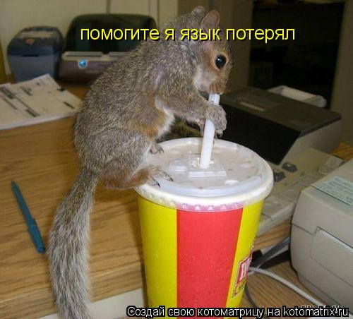 помогите я язык потерял... Котоматрица: помогите я язык потерял
