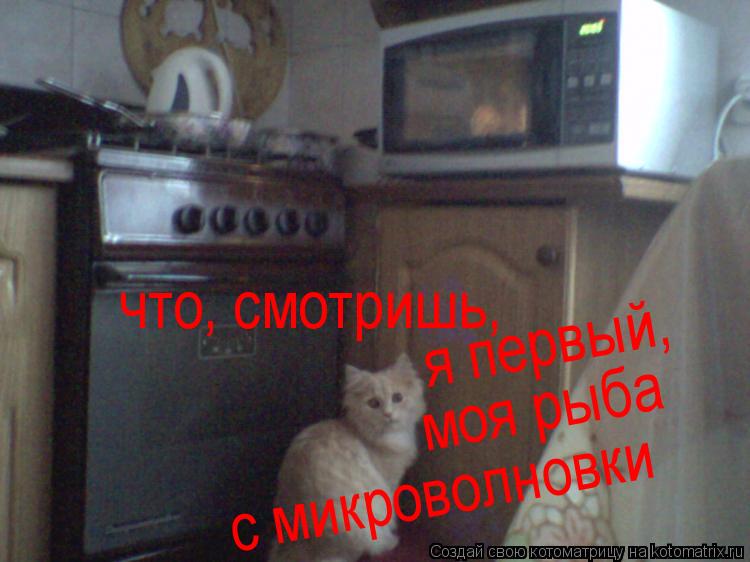 что, смотришь, я первый, моя рыба с микроволновки... Котоматрица: что, смотришь, я первый, моя рыба с микроволновки