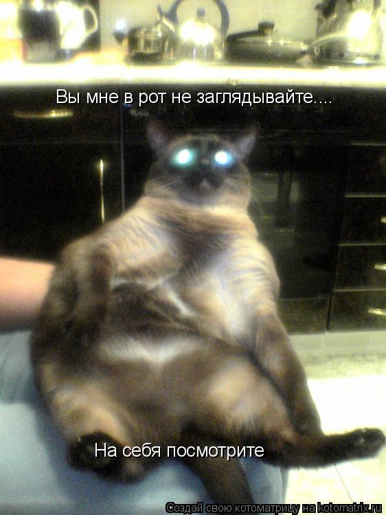 Вы мне в рот не заглядывайте.... На себя посмотрите... Котоматрица: Вы мне в рот не заглядывайте.... На себя посмотрите