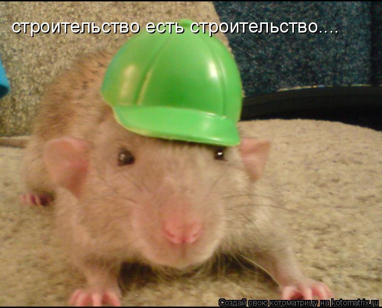 строительство есть строительство....... Котоматрица: строительство есть строительство....