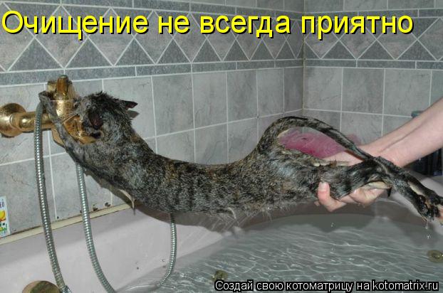 Очищение не всегда приятно... Котоматрица: Очищение не всегда приятно