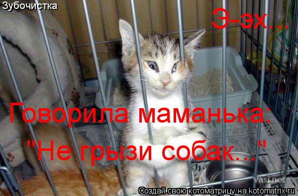 Зубочистка Говорила маманька: "Не грызи собак..." Э-эх...... Котоматрица: Зубочистка Говорила маманька: "Не грызи собак..." Э-эх...