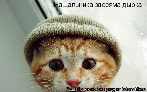 Нащальника здесяма дырка... Котоматрица: Нащальника здесяма дырка