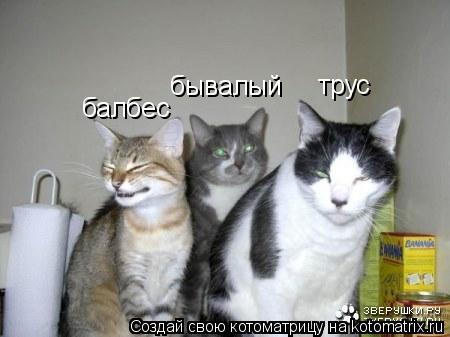 трус балбес бывалый... Котоматрица: трус балбес бывалый