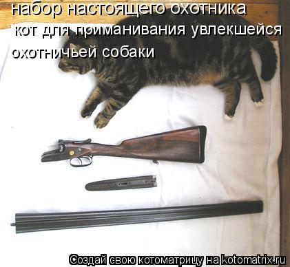 набор настоящего охотника кот для приманивания увлекшейся охотничьей собаки... Котоматрица: набор настоящего охотника кот для приманивания увлекшейся охотничьей собаки
