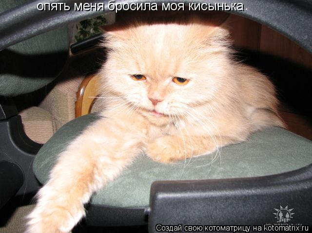 опять меня бросила моя кисынька... Котоматрица: опять меня бросила моя кисынька