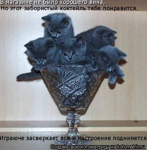 В магазине не было хорошего вина, Но этот забористый коктейль тебе понравится. Играюче засверкает всё... Котоматрица: В магазине не было хорошего вина, Но этот забористый коктейль тебе понравится. Играюче засверкает всё и настроение поднимется.