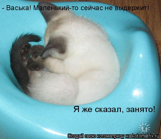 - Васька! Маленький-то сейчас не выдержит! Я же сказал, занято!... Котоматрица: - Васька! Маленький-то сейчас не выдержит! Я же сказал, занято!