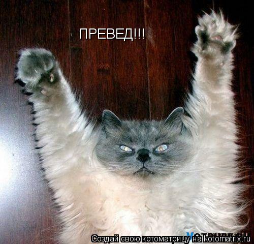 ПРЕВЕД!!!... Котоматрица: ПРЕВЕД!!!