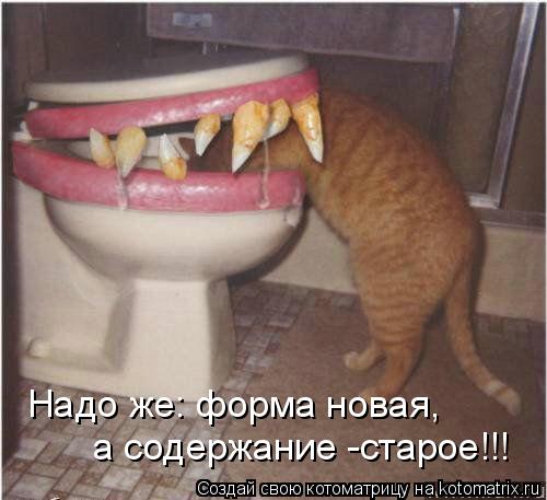 Надо же: форма новая, а содержание -старое!!!... Котоматрица: Надо же: форма новая, а содержание -старое!!!