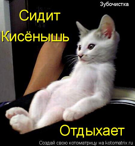 Зубочистка Сидит Кисёнышь Отдыхает... Котоматрица: Зубочистка Сидит Кисёнышь Отдыхает