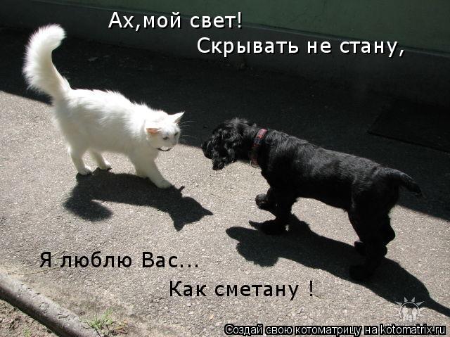 Ах,мой свет! Скрывать не стану, Я люблю Вас... Как сметану !... Котоматрица: Ах,мой свет! Скрывать не стану, Я люблю Вас... Как сметану !