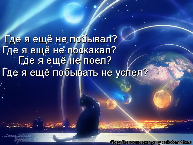 Где я ещё не побывал? Где я ещё не поскакал? Где я ещё не поел? Где я ещё побывать не успел?... Котоматрица: Где я ещё не побывал? Где я ещё не поскакал? Где я ещё не поел? Где я ещё побывать не успел?