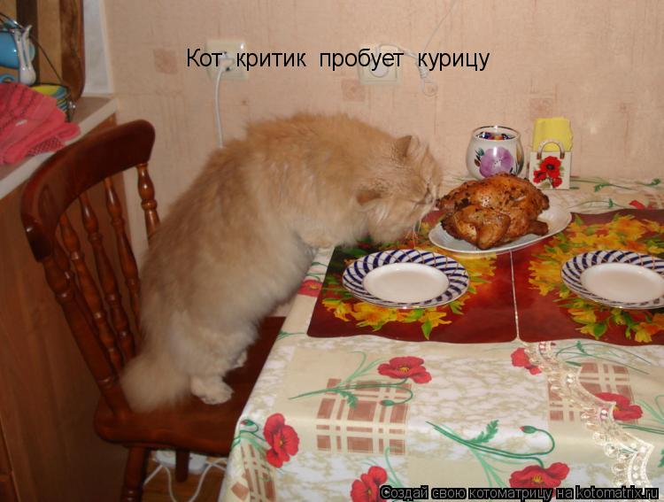 Кот критик пробует курицу... Котоматрица: Кот критик пробует курицу