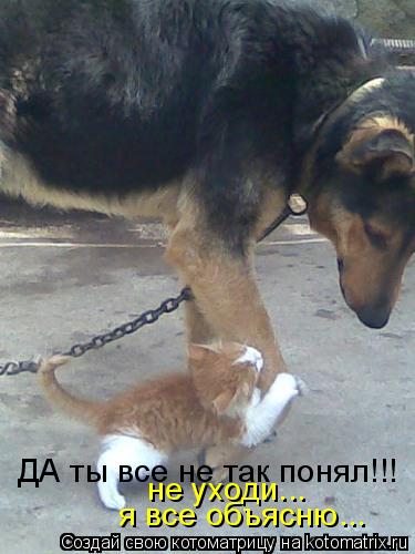 ДА ты все не так понял!!! я все объясню... не уходи...... Котоматрица: ДА ты все не так понял!!! я все объясню... не уходи...