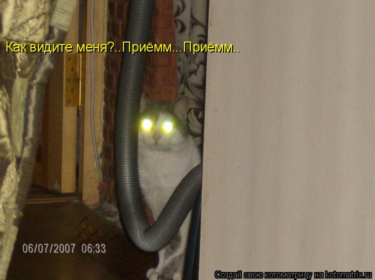 Как видите меня?..Приёмм...Приёмм.. Как видите меня?..Приёмм...Приёмм..... Котоматрица: Как видите меня?..Приёмм...Приёмм.. Как видите меня?..Приёмм...Приёмм..