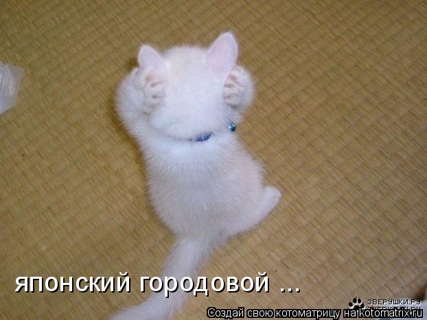 Котоматрица: японский городовой ...
