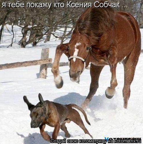 я тебе покажу кто Ксения Собчак ...... Котоматрица: я тебе покажу кто Ксения Собчак ...
