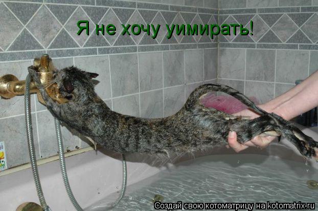 Я не хочу уимирать!... Котоматрица: Я не хочу уимирать!