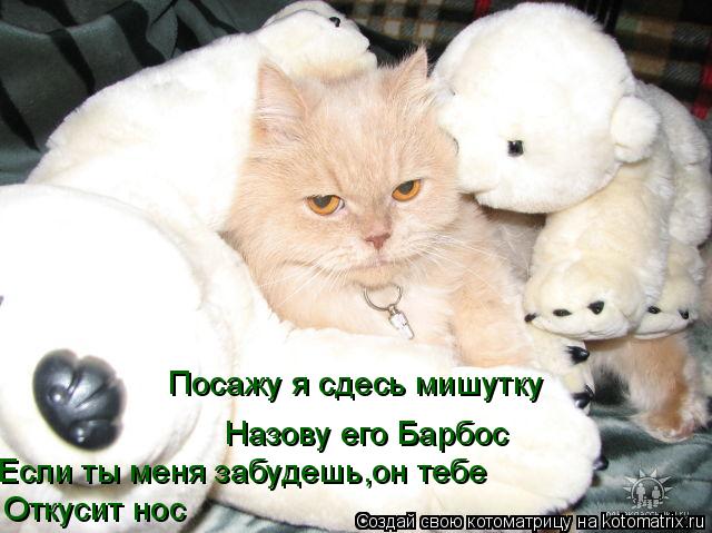 Посажу я сдесь мишутку Назову его Барбос Если ты меня забудешь,он тебе Откусит нос... Котоматрица: Посажу я сдесь мишутку Назову его Барбос Если ты меня забудешь,он тебе Откусит нос