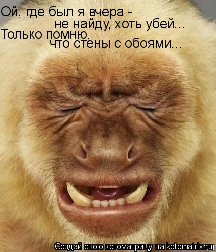 Ой, где был я вчера - не найду, хоть убей... Только помню, что стены с обоями...... Котоматрица: Ой, где был я вчера - не найду, хоть убей... Только помню, что стены с обоями...