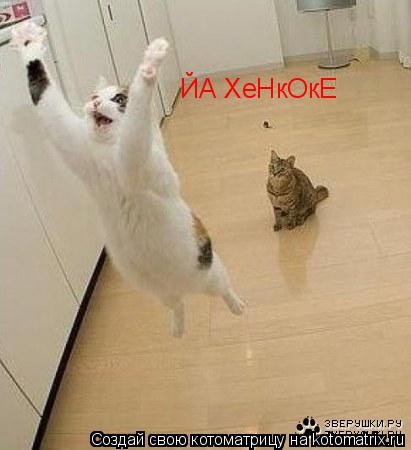 Котоматрица: ЙА ХеНкОкЕ