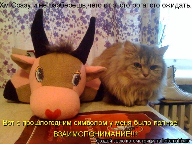 Хм.Сразу и не разберешь,чего от этого рогатого ожидать. Вот с прошлогодним символом у меня было полно... Котоматрица: Хм.Сразу и не разберешь,чего от этого рогатого ожидать. Вот с прошлогодним символом у меня было полное ВЗАИМОПОНИМАНИЕ!!!