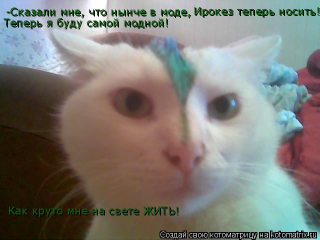 -Сказали мне, что нынче в моде, -Сказали мне, что нынче в моде, Ирокез теперь носить! Теперь я буду с... Котоматрица: -Сказали мне, что нынче в моде, -Сказали мне, что нынче в моде, Ирокез теперь носить! Теперь я буду самой модной! Как круто мне на свете ЖИТЬ!