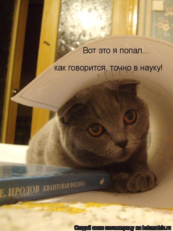 Вот это я попал... как говорится, точно в науку!... Котоматрица: Вот это я попал... как говорится, точно в науку!